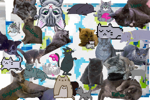 Adorable Russians Are Adorable GIFs - Get the best GIF on GIPHY