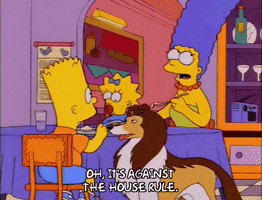 200.gif?cid=fc005b08069f7f7054694aa33d392fa1a929ba72bf69ea88&rid=200.gif&ct=g