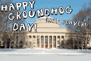groundhog day GIF by MIT 