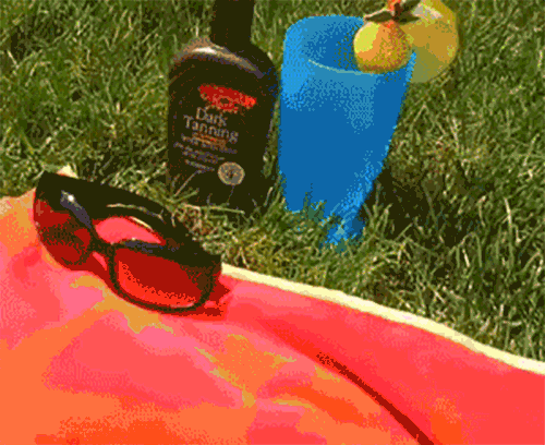giphy.gif?cid=ecf05e47055a6cd56dc27c7245