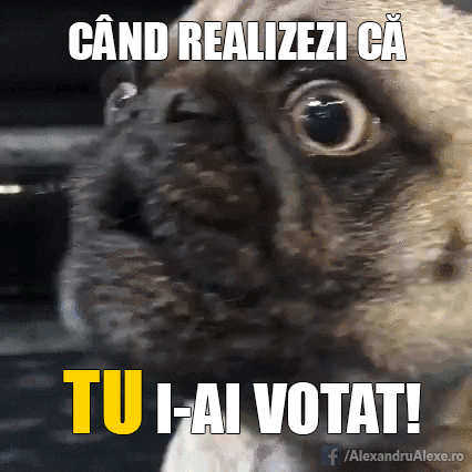 attrexx politics politica anonymous occupy GIF