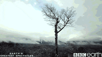 four seasons in one day changes GIF by BBC Earth