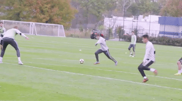 training save GIF by NYRB II