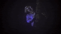peace out goodbye GIF by joecappa