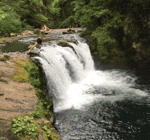 Jump Refreshing GIF by yogabullshit