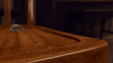 Animated Lucas the Spider showing lively, expressive behavior