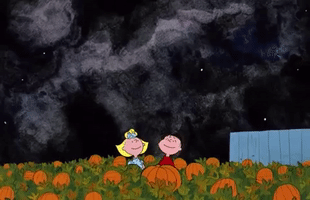 Pumpkin Patch Sally GIF by Halloween