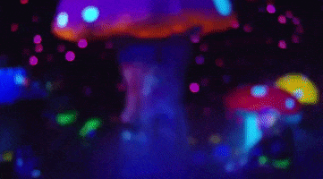 Music Video Mushrooms GIF by Kid Cudi
