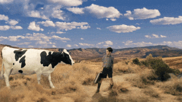 intro sheldon GIF by CBS