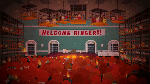 Meeting Gathering GIF by South Park  - Find & Share on GIPHY
