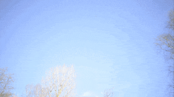 xaviersailliol animation film action fx GIF