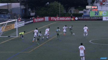 soccer goal GIF by New York Cosmos
