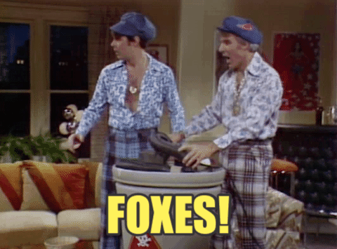 Steve Martin Foxes GIF by Saturday Night Live - Find & Share on GIPHY