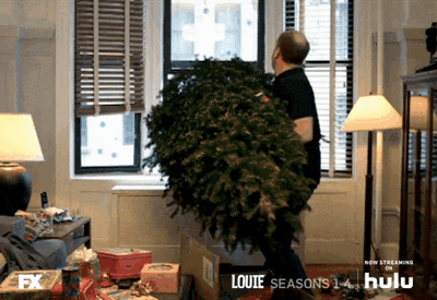 Christmas Tree GIF by HULU - Find & Share on GIPHY