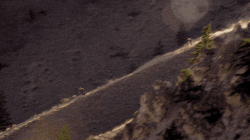 200.gif?cid=fc005b08e5cf327b0164b1d5a040b154e1cb0d9365629192&rid=200.gif&ct=g