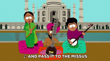 india GIF by South Park 