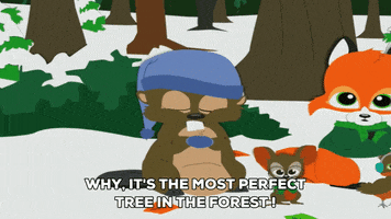 forest woods GIF by South Park 