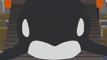 killer whale GIF by South Park 