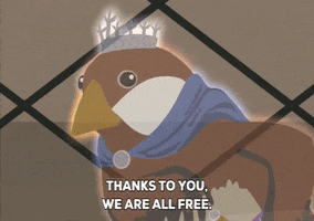 bird crown GIF by South Park 