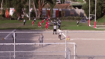 ashliblow  GIF