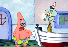 shannonrenescott  GIF