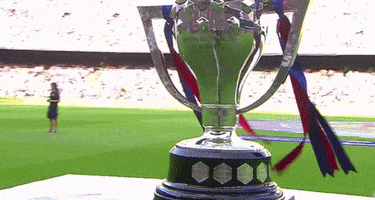 la liga trophy GIF by FC Barcelona