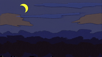 night sky GIF by South Park 