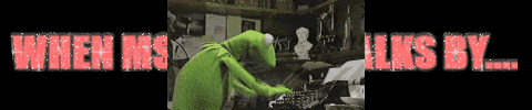 kashong kermit journalism GIF