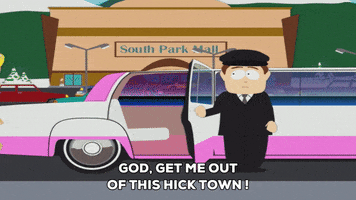 driving paris hilton GIF by South Park 