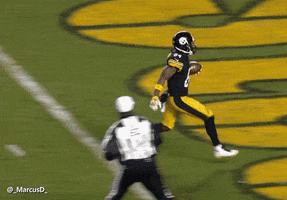 pittsburgh steelers running into a wall GIF