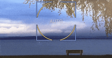 chemasanmoran procamera GIF