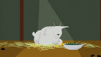 goat looking GIF by South Park 
