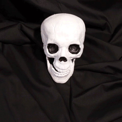 Halloween Skull GIF by LAZY MOM
