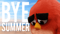 End-of-summer GIFs - Get the best GIF on GIPHY