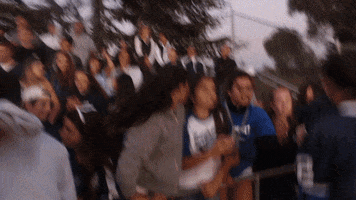 izzymitchell  GIF