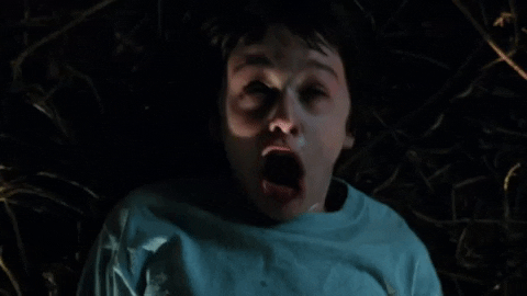 will stranger things GIF by Barstool Sports