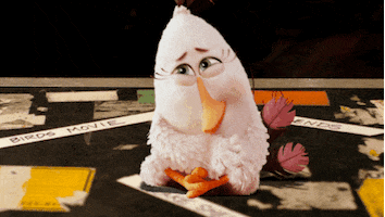 happy the angry birds movie GIF by Angry Birds