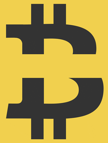 money bitcoin GIF by Primer