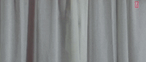 Kangana Ranaut Bollywood GIF by bypriyashah