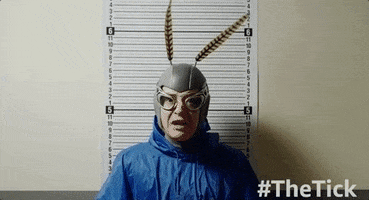 the moth arthur GIF by The Tick