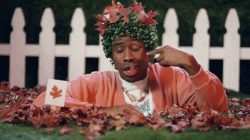 Tyler The Creator Fall GIF by Interscope Records