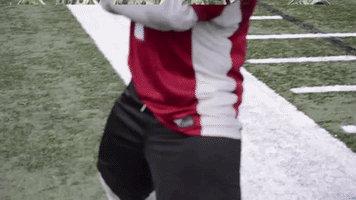 Money GIF