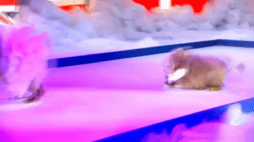 200.gif?cid=fc005b08cd6c6863e27bd7a1de782d41bf7f3172895851db&rid=200.gif&ct=g