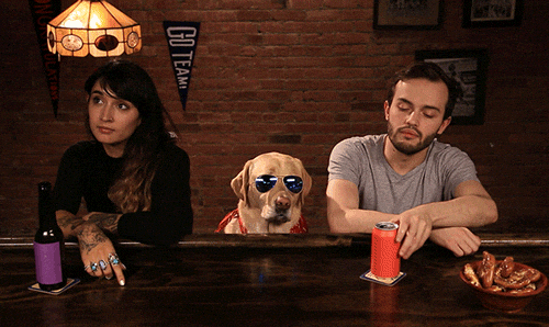 Sports bar dog GIF by Originals