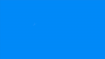 martimorajulia  GIF