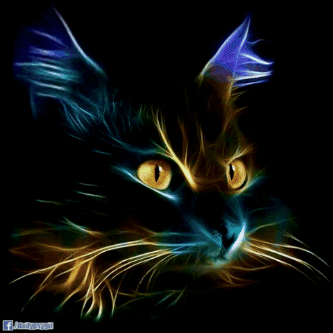 trippy cat GIF by Psyklon