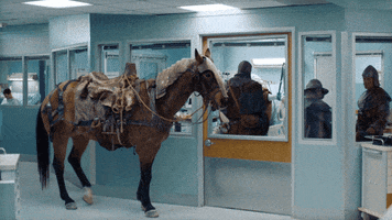 Super Bowl GIF by TurboTax