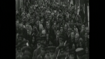 variantylvivua  GIF
