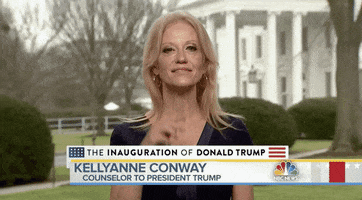 kellyanne conway fake news GIF by Election 2016