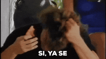 Reactions GIF